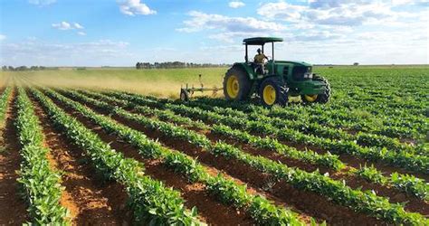  Nature's Bounty: An Ode to South African Agriculture