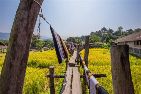  Lost Boy: Finding Home in a Tapestry of Thai Traditions and Whimsical Adventure