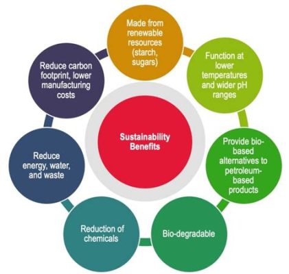  The Transformative Potential of Technology: Decoding Innovation and Social Impact